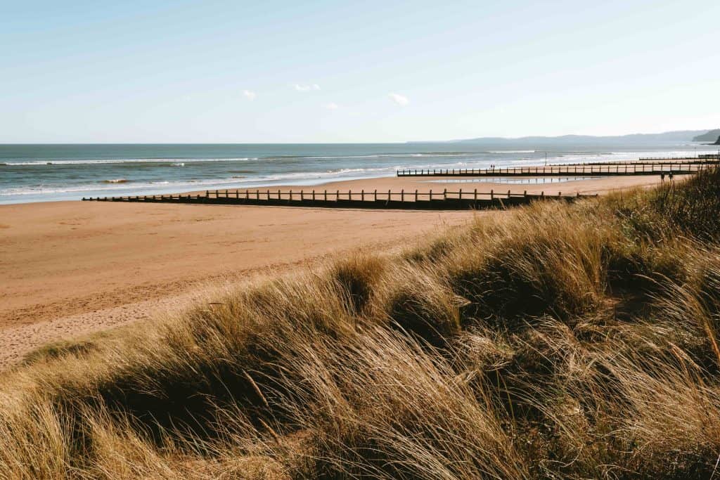 A view across the dunes to Dawlish Warren Beach