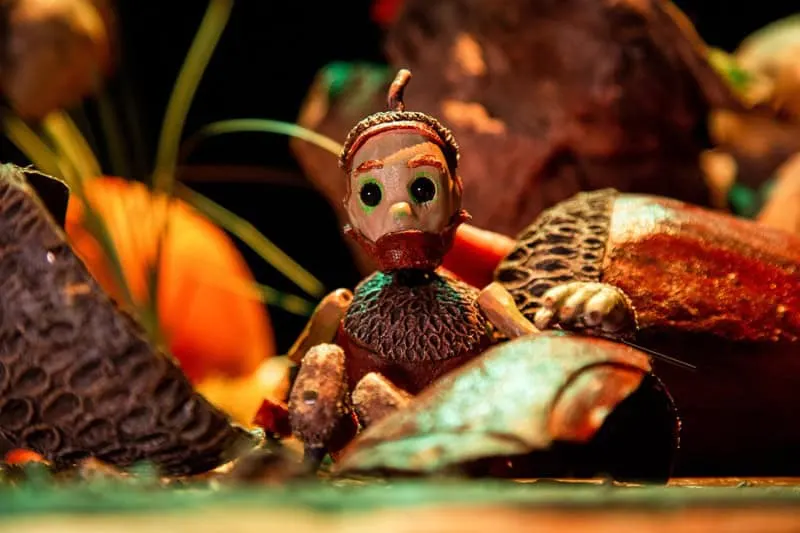 Seedling puppet sitting in shell