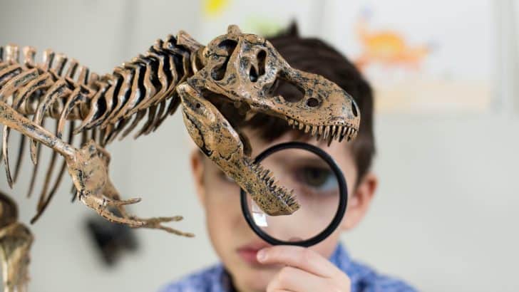 11 roar-some Dinosaur days out in Devon
