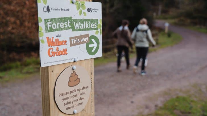 A Forest Walkies trail sign in the forest