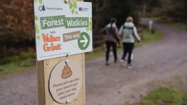 A Forest Walkies trail sign in the forest