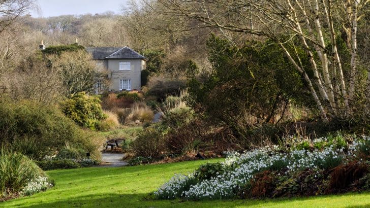 Winter view back to the house along the Long Walk at The Garden House, Buckland Monachorum, Devon, UK