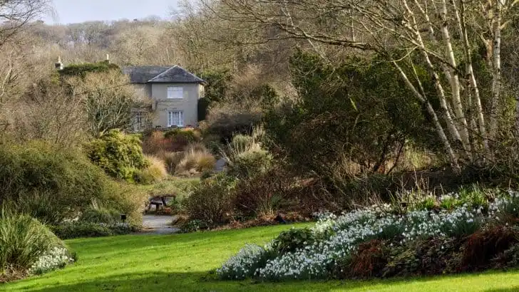 Winter view back to the house along the Long Walk at The Garden House, Buckland Monachorum, Devon, UK