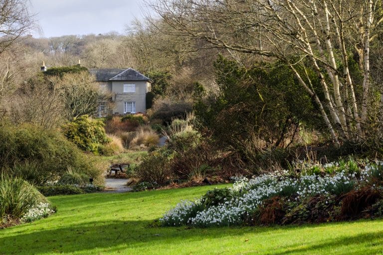 Winter view back to the house along the Long Walk at The Garden House, Buckland Monachorum, Devon, UK