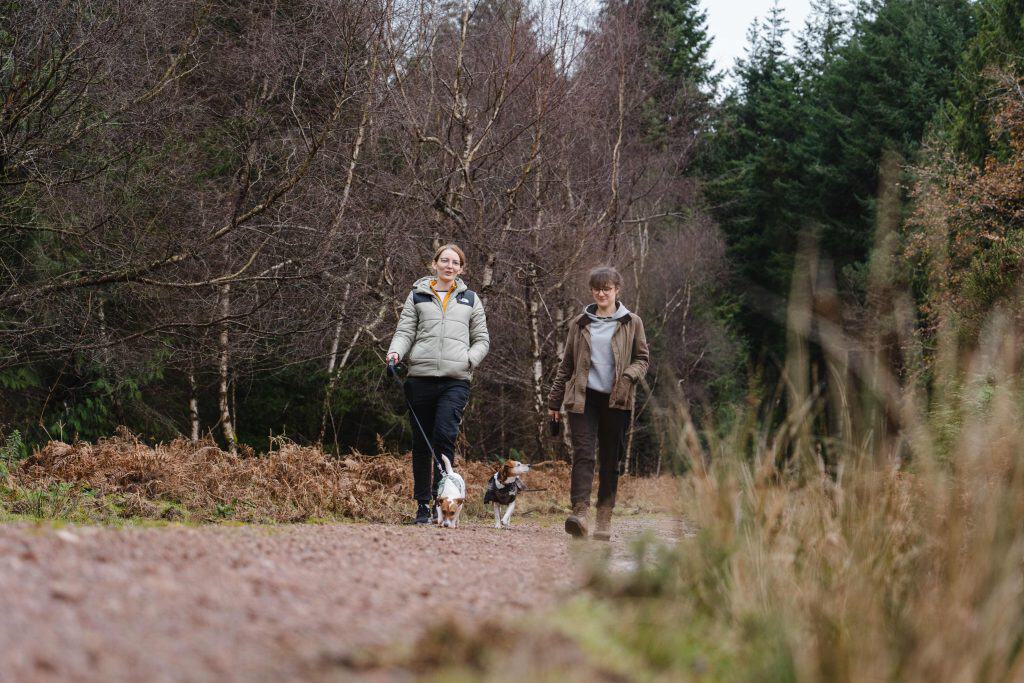 Two dog owners walk and chat in the forest