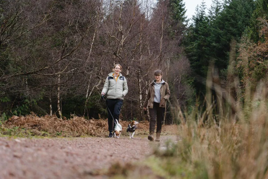 Two dog owners walk and chat in the forest