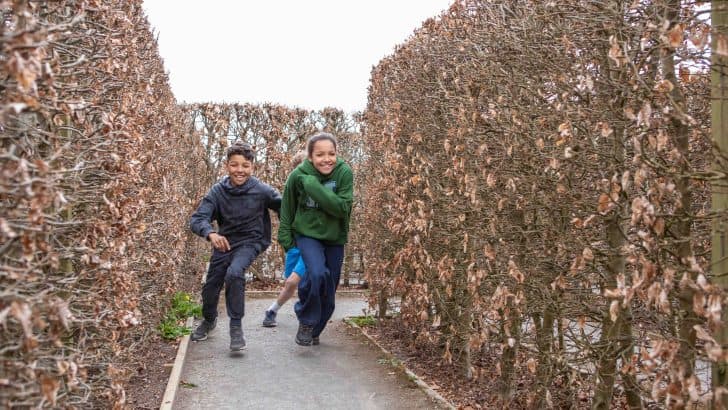 Children run around the maze at The Donkey Sanctuary in Sidmouth
