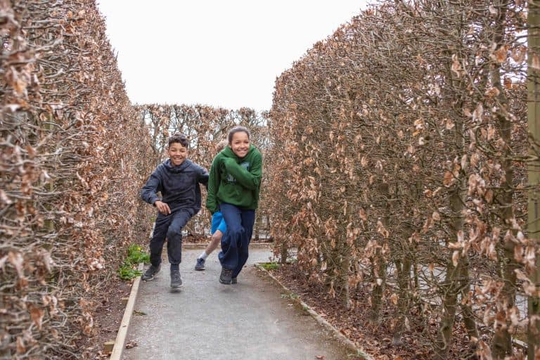 Children run around the maze at The Donkey Sanctuary in Sidmouth