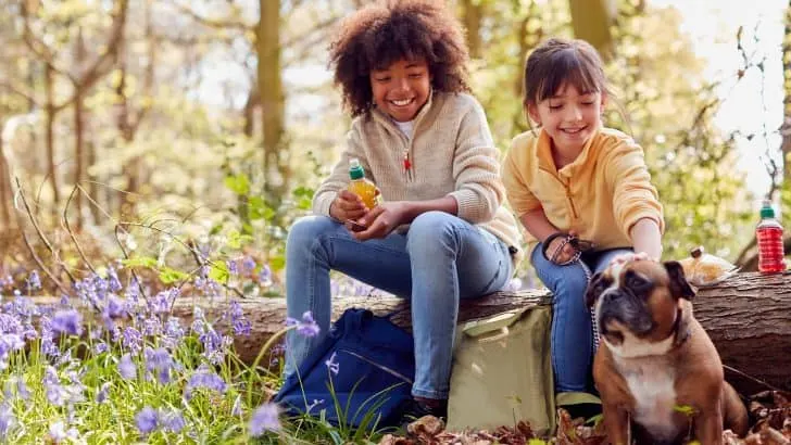 Two Children Walking Pet Dog Through Bluebell Woods In Springtime Taking A Break Sitting On Log