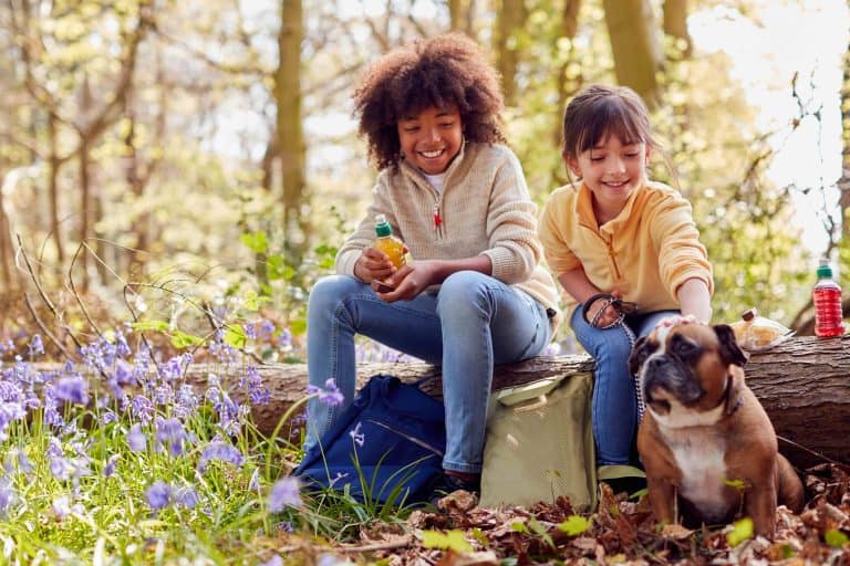 Two Children Walking Pet Dog Through Bluebell Woods In Springtime Taking A Break Sitting On Log