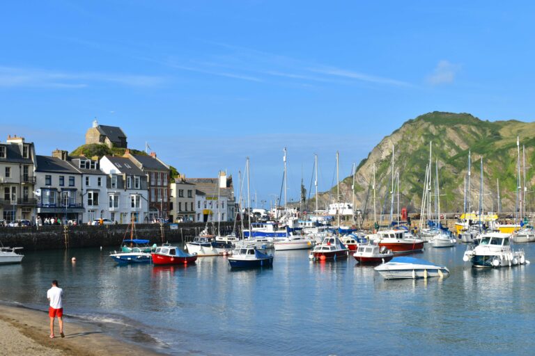 Centuries old Ilfracombe harbour is today mostly used for tourism and leisure trips to Lundy Island coastal cruises fishing diving and sea-life safaris Freshly caught fish and seafood lands daily here