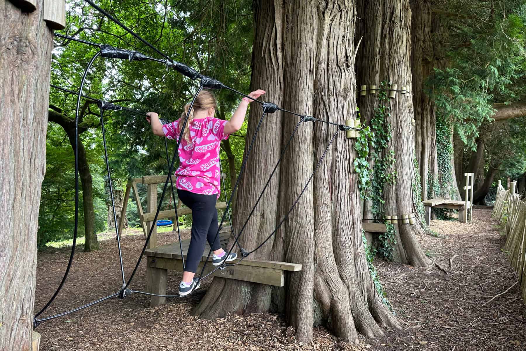 Girl walking along a rope bridge in the assault course at River Dart Country Park