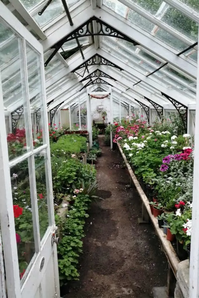 The green house of Hartland Abbey