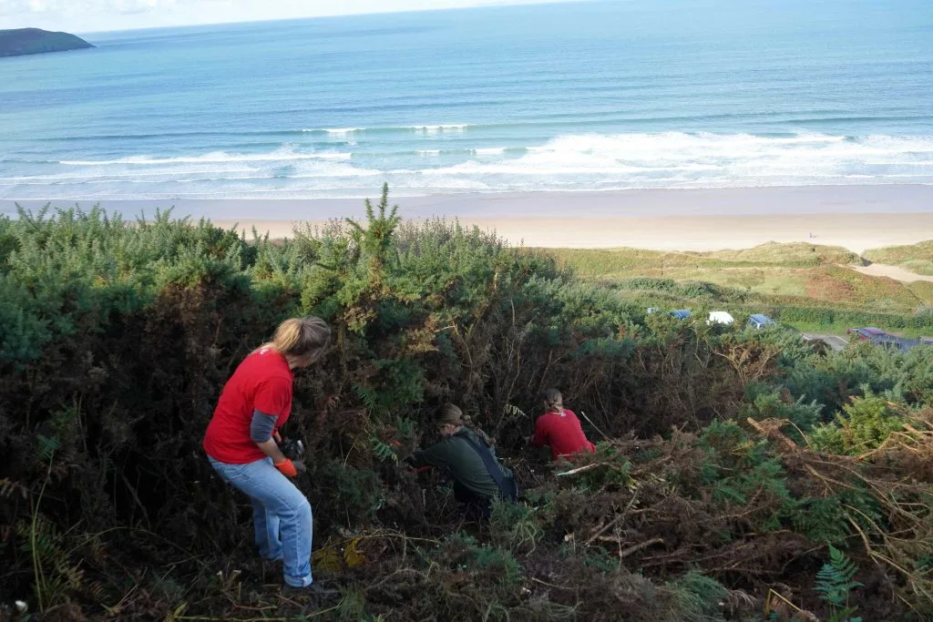 Rangers bash back foliage at Morte Point in Devon
