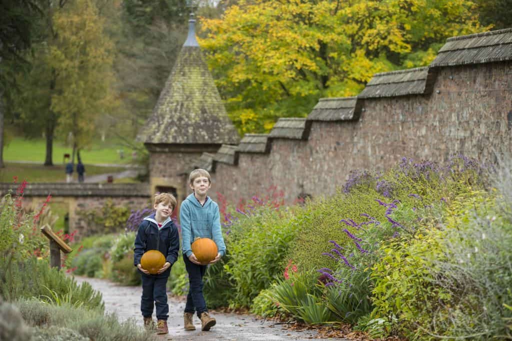 Children carrying pumpkins in the walled garden in autumn at Knightshayes, Devon.