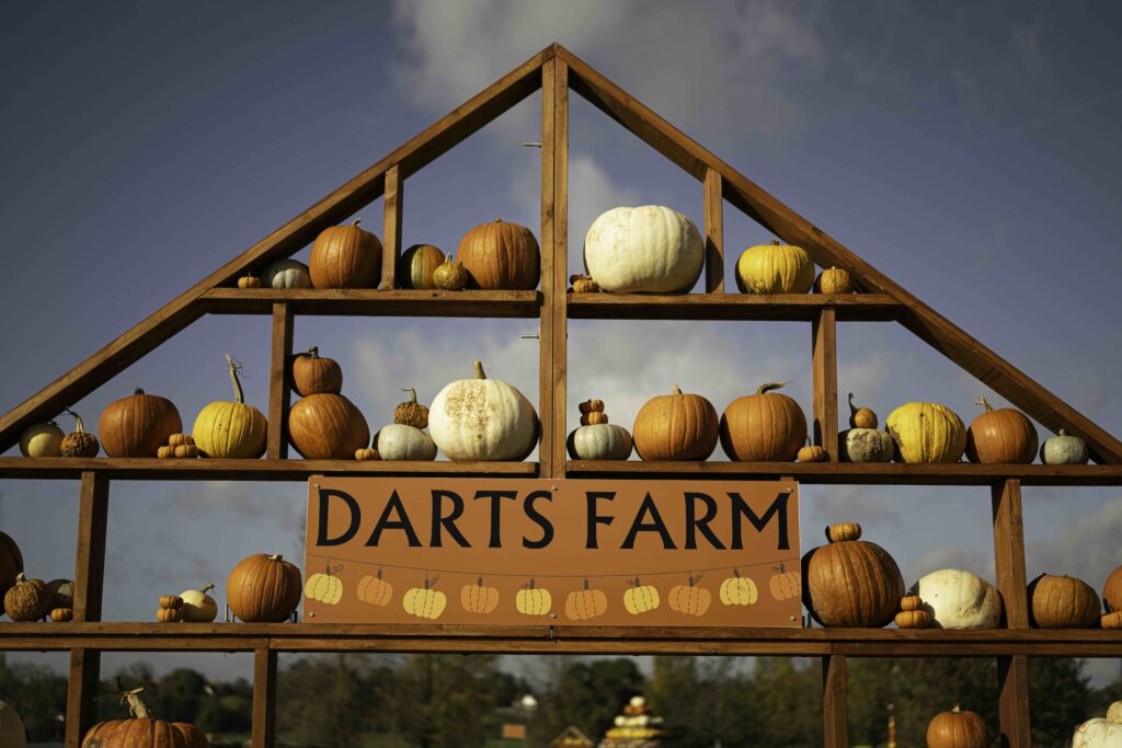 Display of pumpkins with the Darts Farm sign