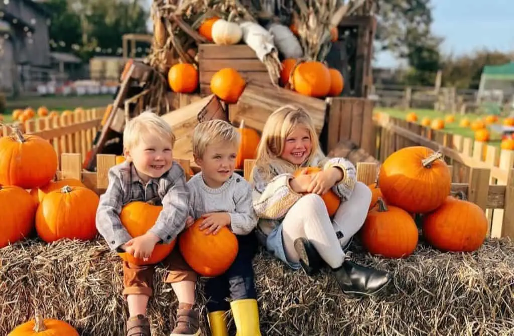 Three children sat on a pumpkin and hay bale display at Pennywell Farm
