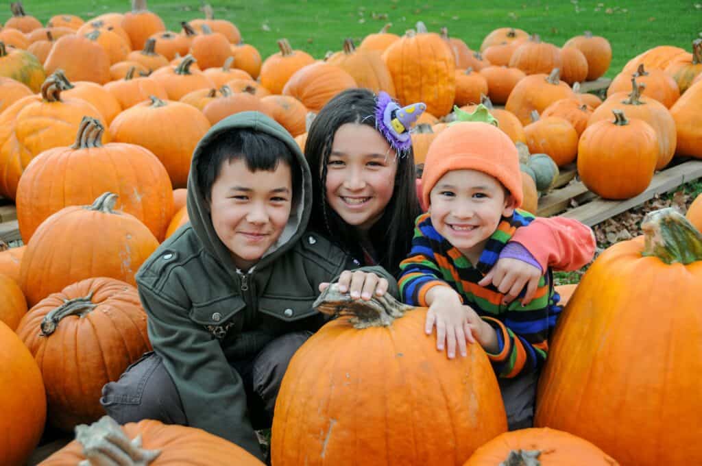 Outdoor autumn portrait of three happy young siblings in pumpkin patch smiling looking at camera