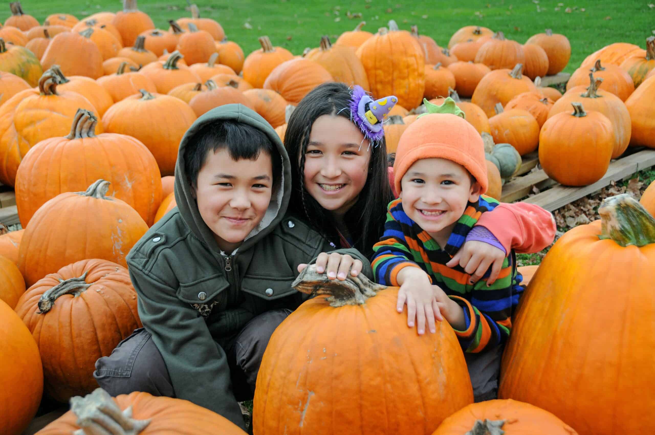 Outdoor autumn portrait of three happy young siblings in pumpkin patch smiling looking at camera