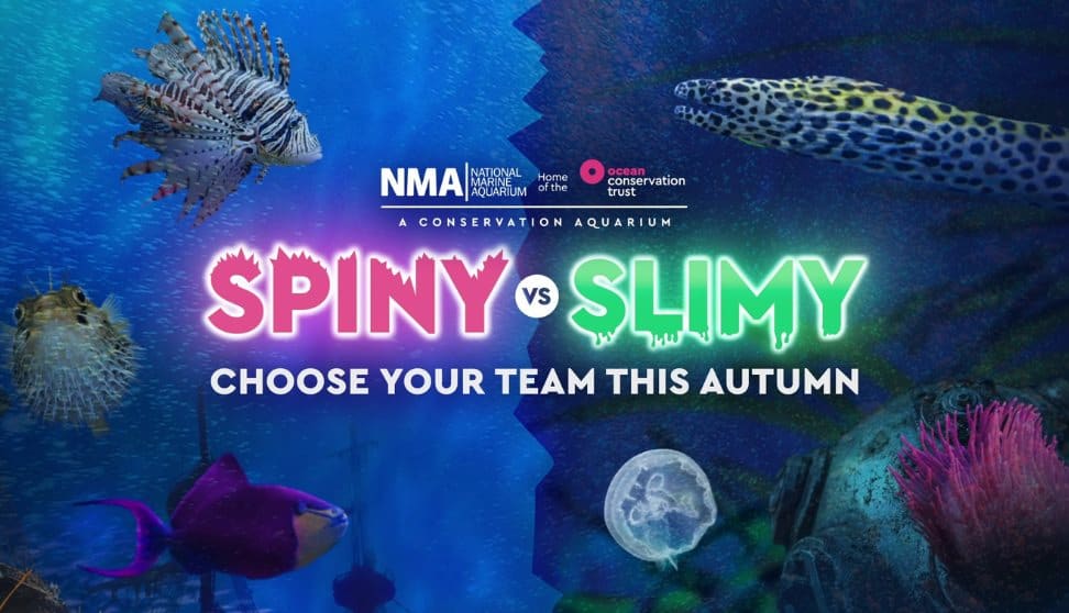 Spiny vs Slimy graphic