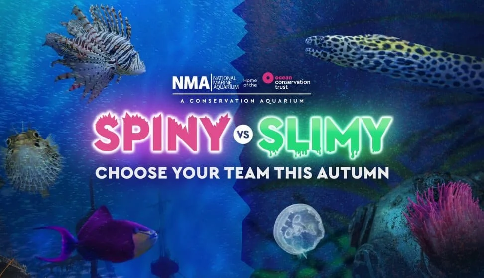 Spiny vs Slimy graphic
