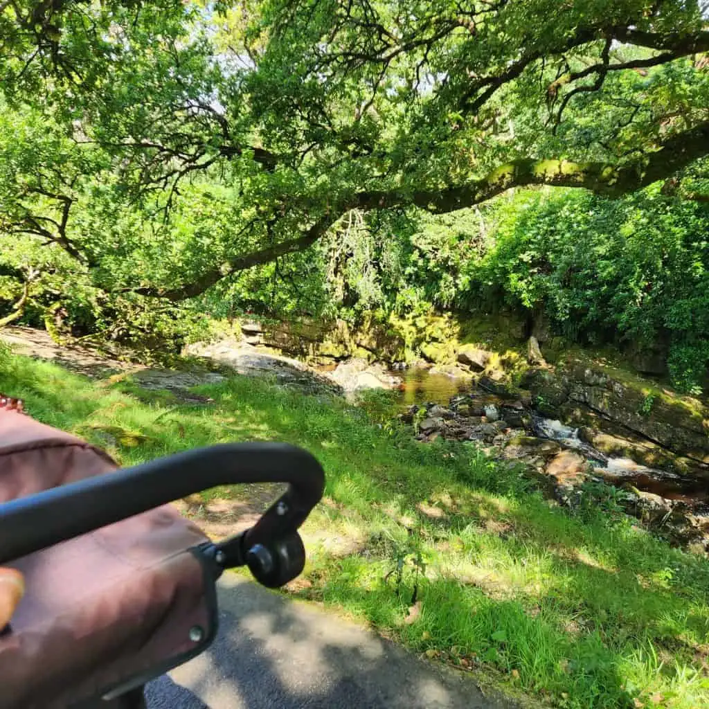 Pram handle beside the river at Avon Dam