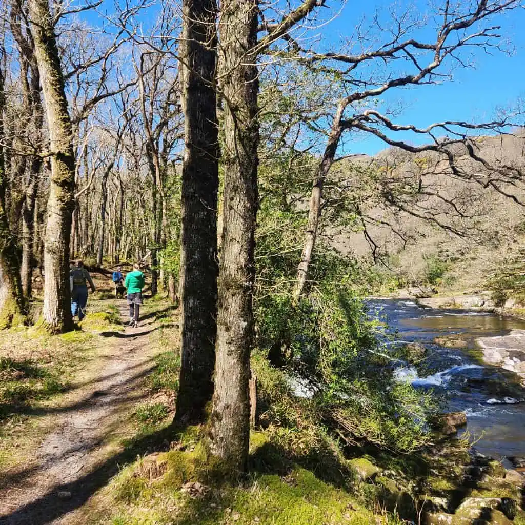 Family walking alongside a river bank on Dartmoor