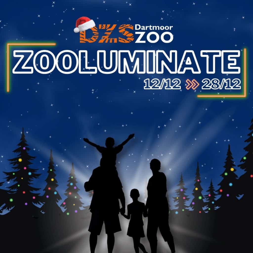 Zooluminate markting graphic 