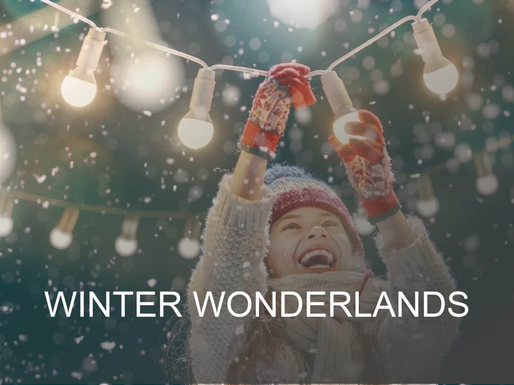 Winter wonderland events guide button. Click here to find out what's on