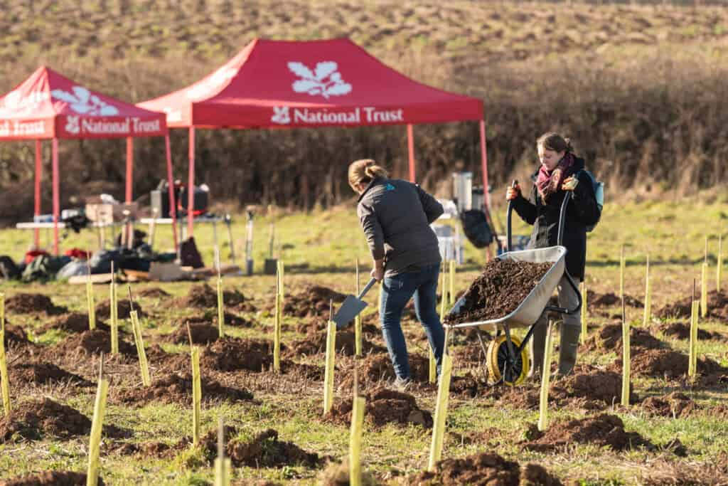 Community tree planting at Wembury, South Devon Paul Harris