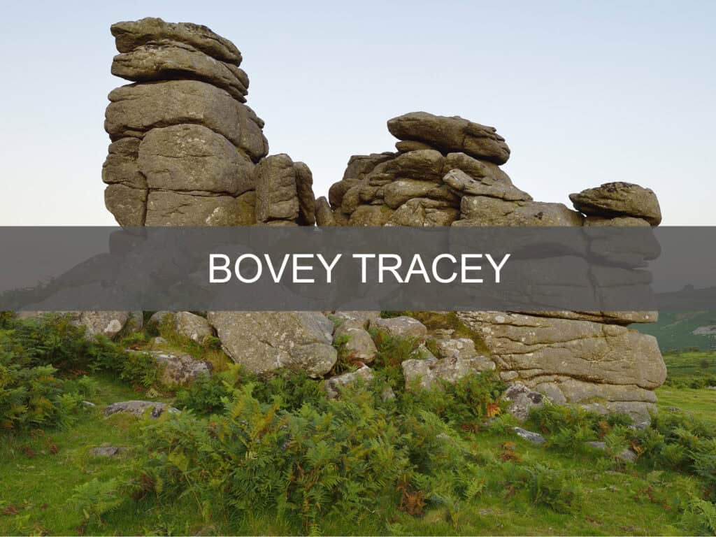 Bovey Tracey guide button