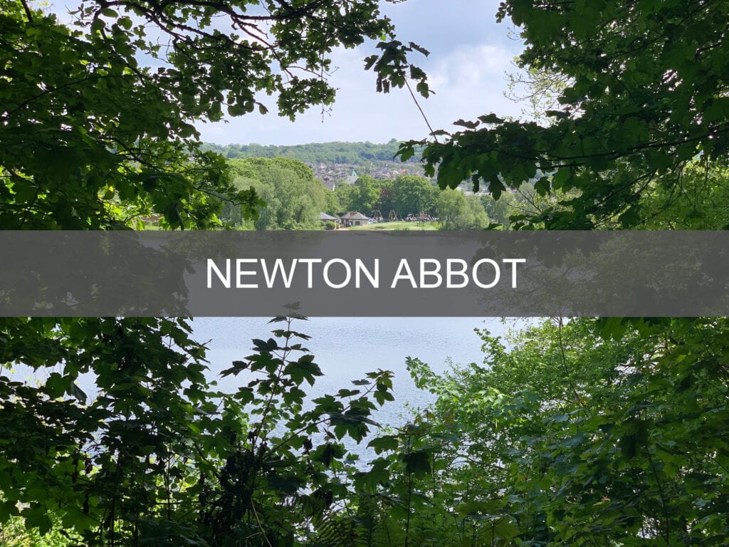 Newton Abbot guide button