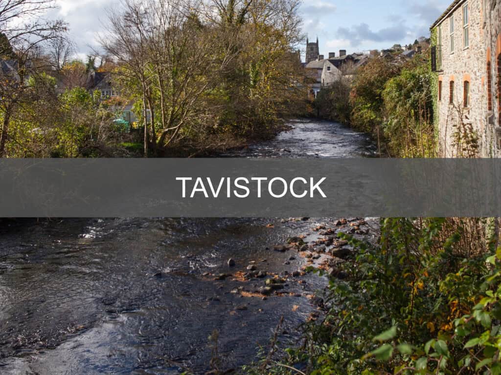 Tavistock guide button