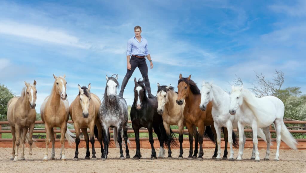Ben Atkinson and horses