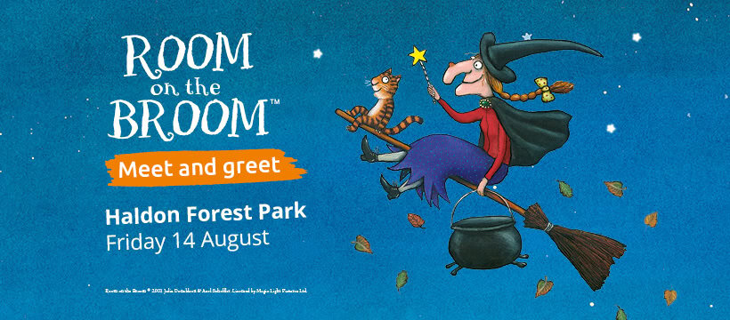 Room on the Broom activity day poster