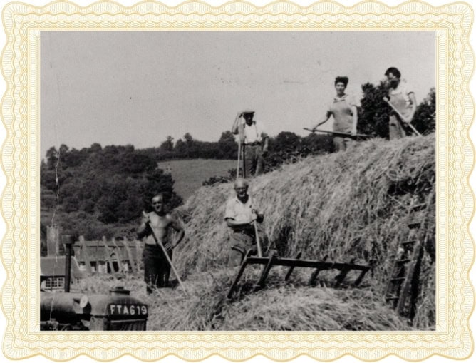 An old black and white photo of people working in a field