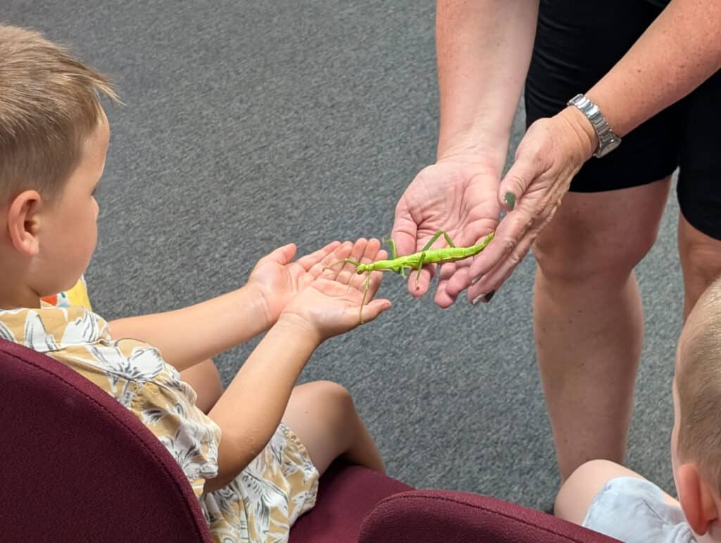 Wildlife encounter with Frazoo at Newton Abbot Museum