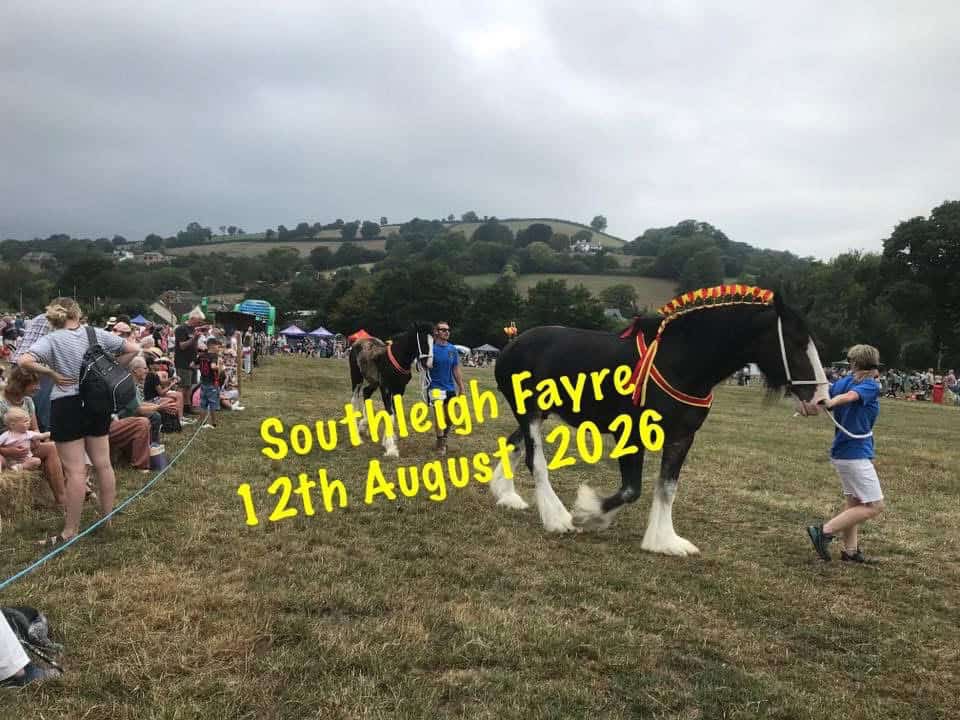 Southleigh Fayre promotional image