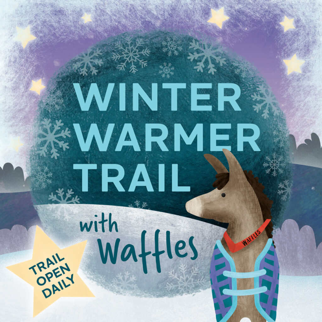 Winter trail graphic 