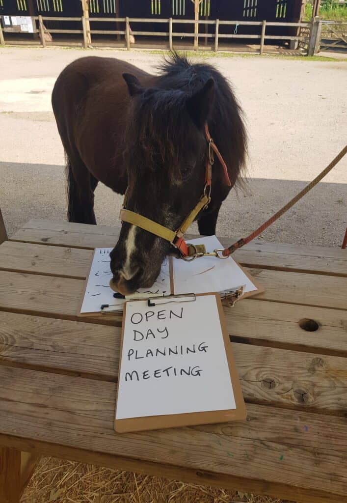 Pony called Rupert with a pen and paper with the words 'open day planning meeting' written on it