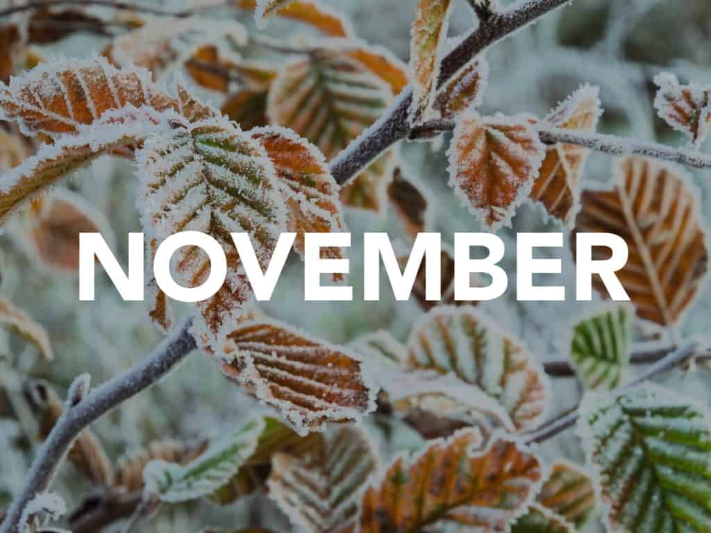 What's on in November guide button